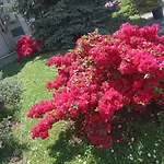 Residenza Il Rododendro Апартаменты