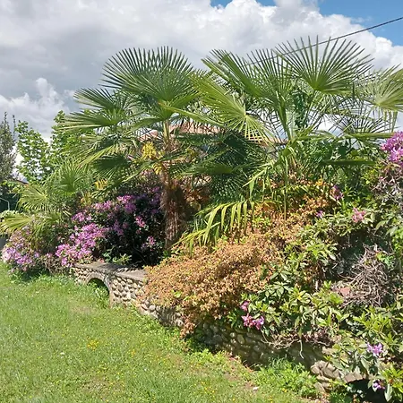 Residenza Il Rododendro Apartament *