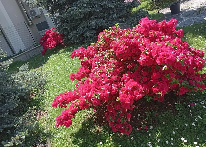 Residenza Il Rododendro Daire