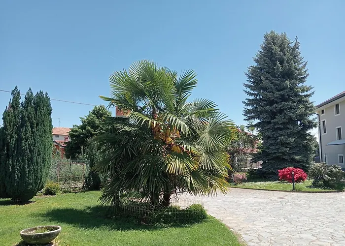 Residenza Il Rododendro Daire Candelo
